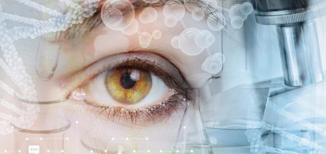 a-closeup-of-a-female-eye